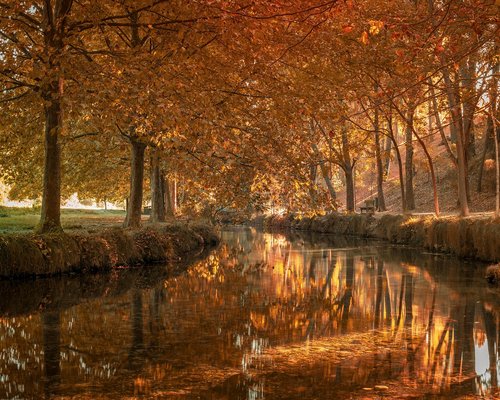 Fachada de edificio en la colonia Roma