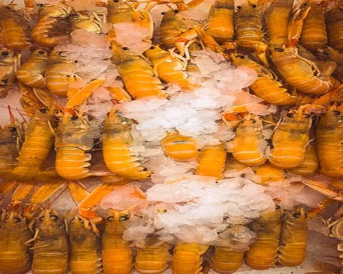 Alimentación fresca y casera