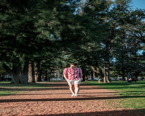 Caminata tranquila por un parque